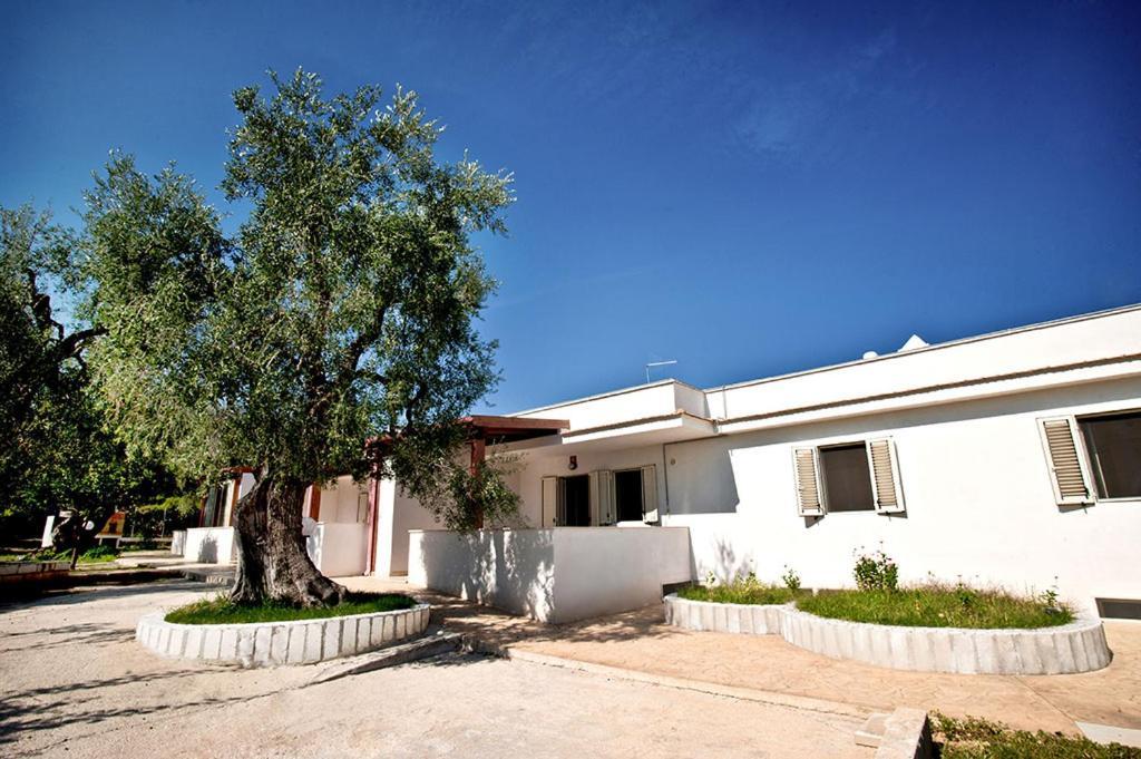 Felicity Vieste Exterior photo